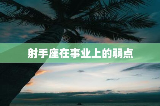 射手座在事业上的弱点
