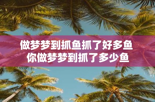 做梦梦到抓鱼抓了好多鱼 你做梦梦到抓了多少鱼