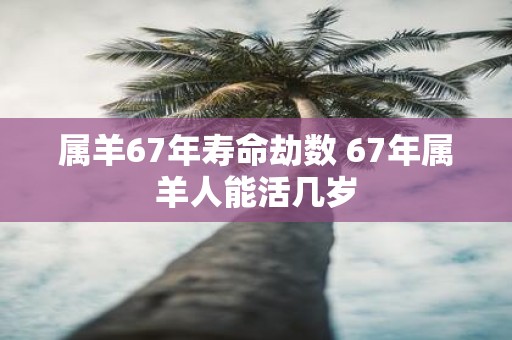 属羊67年寿命劫数 67年属羊人能活几岁