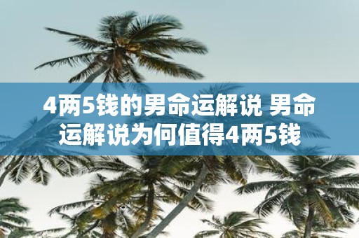 4两5钱的男命运解说 男命运解说为何值得4两5钱