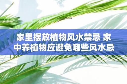 家里摆放植物风水禁忌 家中养植物应避免哪些风水忌讳