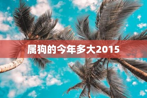 属狗的今年多大2015