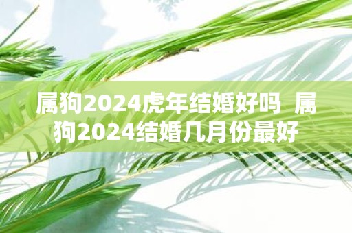 属狗2025虎年结婚好吗 属狗2025结婚几月份最好