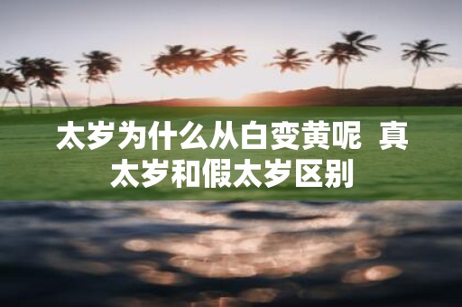 太岁为什么从白变黄呢 真太岁和假太岁区别