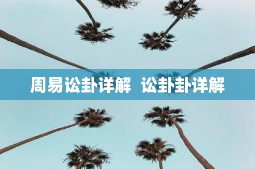 周易讼卦详解 讼卦卦详解