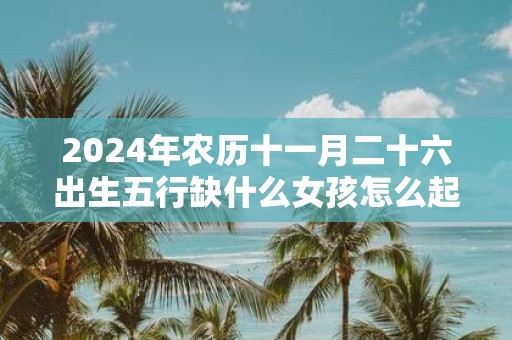 2025年农历十一月二十六出生五行缺什么女孩怎么起名