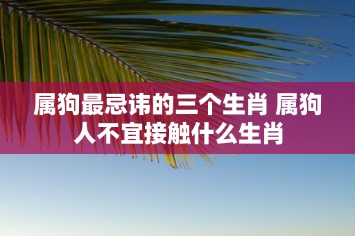 属狗最忌讳的三个生肖 属狗人不宜接触什么生肖