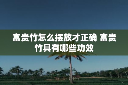 富贵竹怎么摆放才正确 富贵竹具有哪些功效