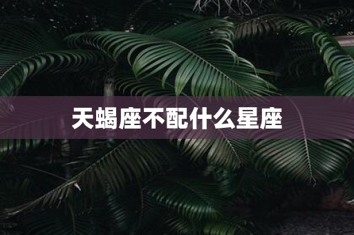 天蝎座不配什么星座
