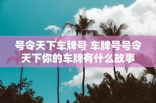 号令天下车牌号 车牌号号令天下你的车牌有什么故事