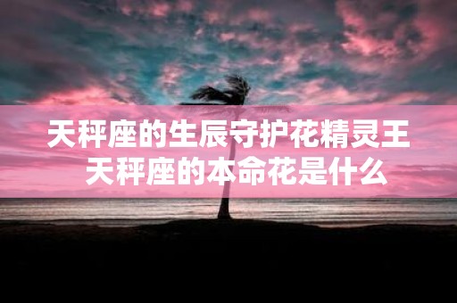 天秤座的生辰守护花精灵王 天秤座的本命花是什么