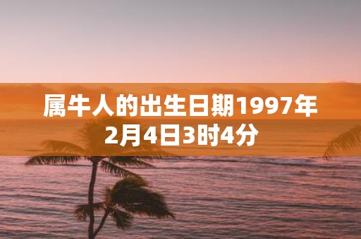 属牛人的出生日期1997年2月4日3时4分