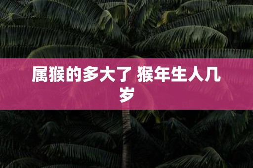 属猴的多大了 猴年生人几岁