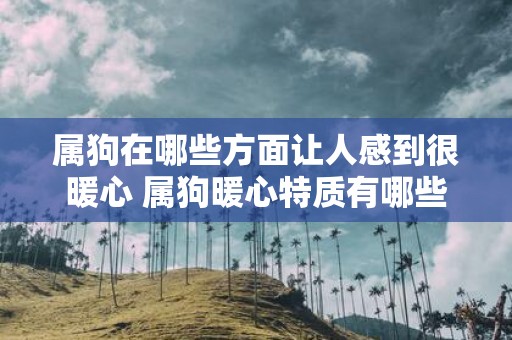 属狗在哪些方面让人感到很暖心 属狗暖心特质有哪些