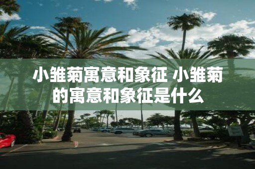 小雏菊寓意和象征 小雏菊的寓意和象征是什么