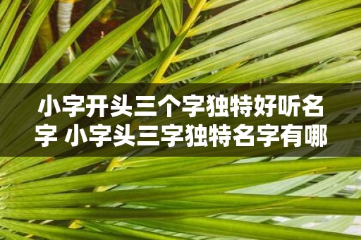 小字开头三个字独特好听名字 小字头三字独特名字有哪些