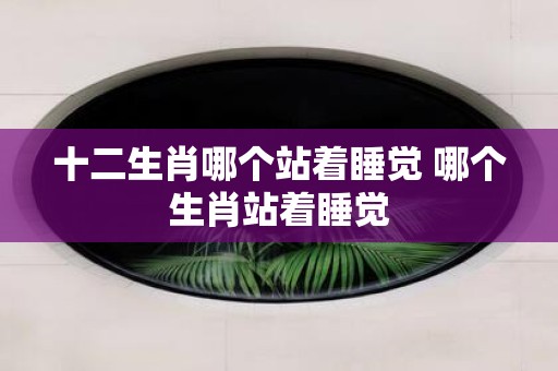 十二生肖哪个站着睡觉 哪个生肖站着睡觉