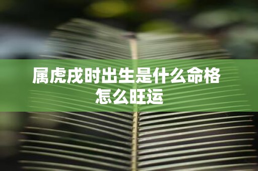 属虎戌时出生是什么命格 怎么旺运