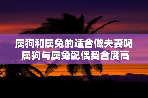 属狗和属兔的适合做夫妻吗 属狗与属兔配偶契合度高吗