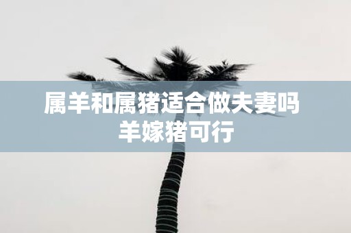 属羊和属猪适合做夫妻吗 羊嫁猪可行