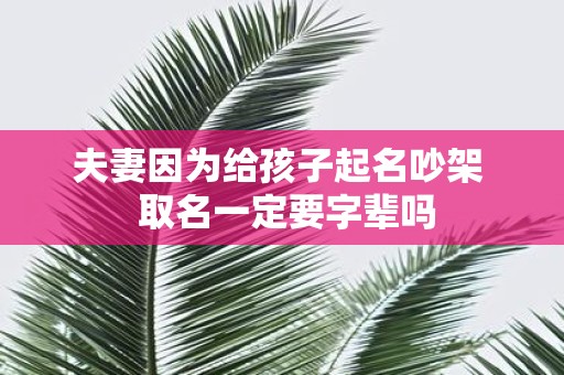 夫妻因为给孩子起名吵架 取名一定要字辈吗