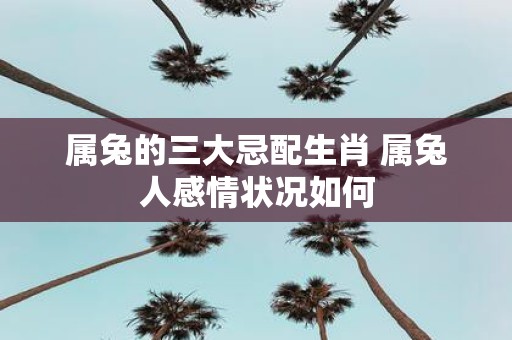 属兔的三大忌配生肖 属兔人感情状况如何