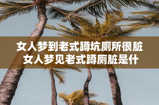 女人梦到老式蹲坑厕所很脏 女人梦见老式蹲厕脏是什么意思