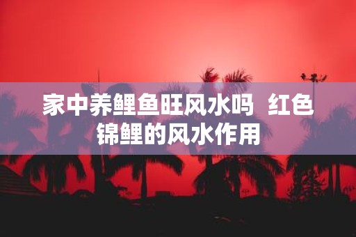家中养鲤鱼旺风水吗 红色锦鲤的风水作用
