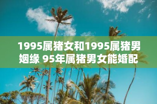 1995属猪女和1995属猪男姻缘 95年属猪男女能婚配吗