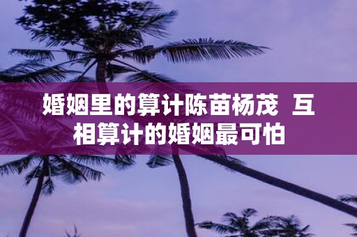婚姻里的算计陈苗杨茂 互相算计的婚姻最可怕