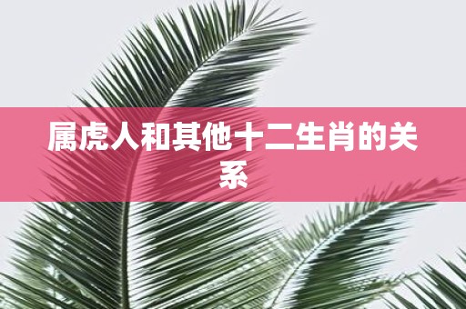 属虎人和其他十二生肖的关系