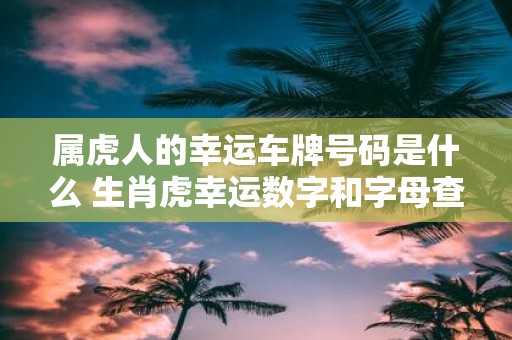 属虎人的幸运车牌号码是什么 生肖虎幸运数字和字母查询