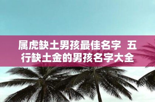 属虎缺土男孩最佳名字 五行缺土金的男孩名字大全