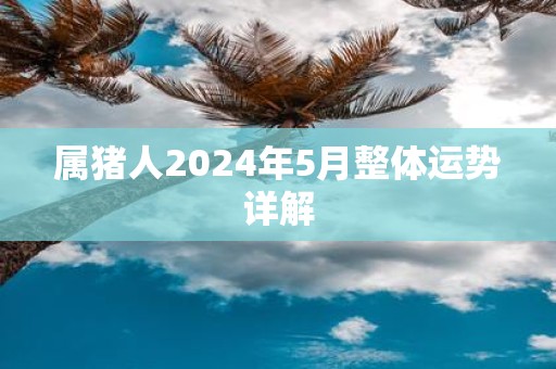 属猪人2025年5月整体运势详解