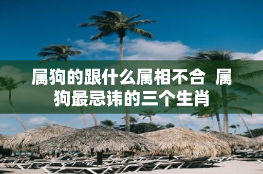 属狗的跟什么属相不合 属狗最忌讳的三个生肖