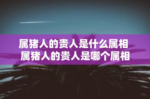 属猪人的贵人是什么属相 属猪人的贵人是哪个属相