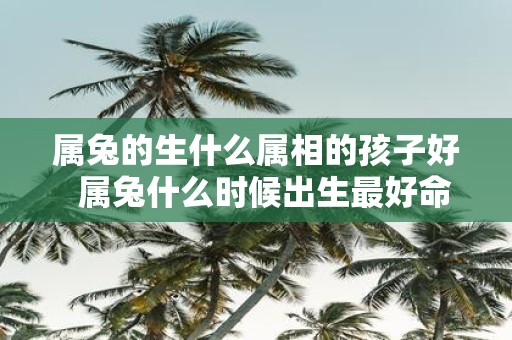属兔的生什么属相的孩子好 属兔什么时候出生最好命