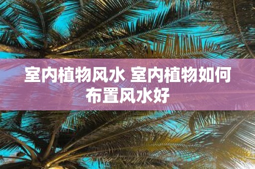 室内植物风水 室内植物如何布置风水好