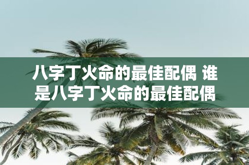 八字丁火命的最佳配偶 谁是八字丁火命的最佳配偶
