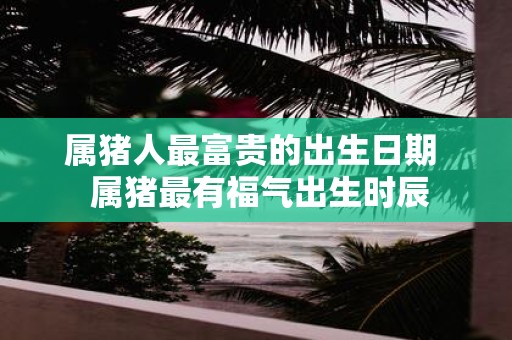 属猪人最富贵的出生日期 属猪最有福气出生时辰