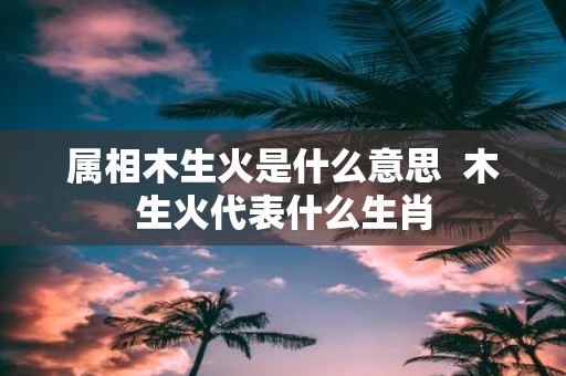 属相木生火是什么意思 木生火代表什么生肖