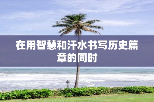 在用智慧和汗水书写历史篇章的同时