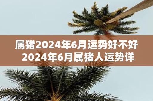 属猪2025年6月运势好不好 2025年6月属猪人运势详解