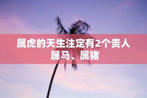 属虎的天生注定有2个贵人 属马、属猪