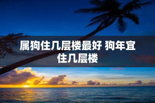 属狗住几层楼最好 狗年宜住几层楼