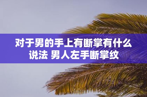 对于男的手上有断掌有什么说法 男人左手断掌纹