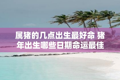 属猪的几点出生最好命 猪年出生哪些日期命运最佳