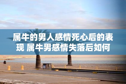 属牛的男人感情死心后的表现 属牛男感情失落后如何表现