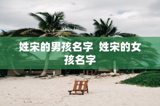 姓宋的男孩名字 姓宋的女孩名字