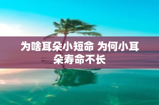 为啥耳朵小短命 为何小耳朵寿命不长